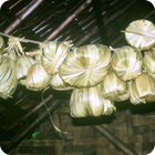 Breadfruit biscuit – Motalava, Banks