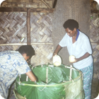 Baking breadfruit biscuit – Motalava, Banks