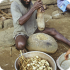 Grounding kava – Dorig, Gaua, Banks