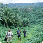 Walking across the mountains – Gaua, Banks