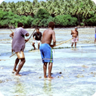 Scareline fishing – Tarasag, Gaua, Banks