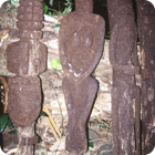 Treefern spirits – Jolap, Gaua, Banks