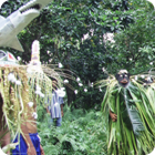 Dance of the Spirits – Jolap, Gaua, Banks