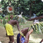 Dance of the Spirits – Jolap, Gaua, Banks