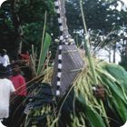An Evil Spirit – Jolap, Gaua, Banks