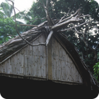 A noble house – Tarasag, Gaua, Banks