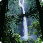 The great Waterfall – Gaua, Banks